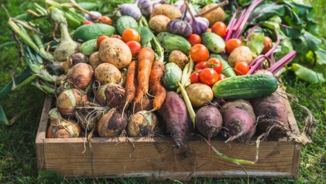 农业食品中小企业对前景持乐观态度 但成本通胀正在影响