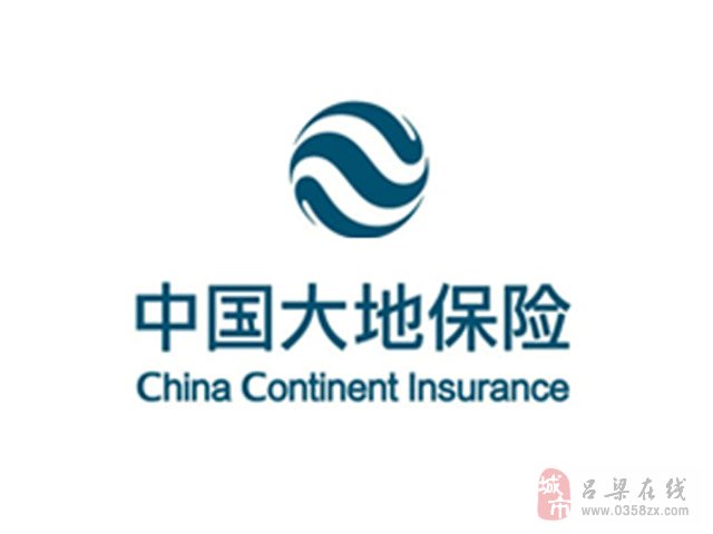 中国大地保险公司排名第几_中国保险信息技术管理有限责任公司董事长_中国保险公司资产排名
