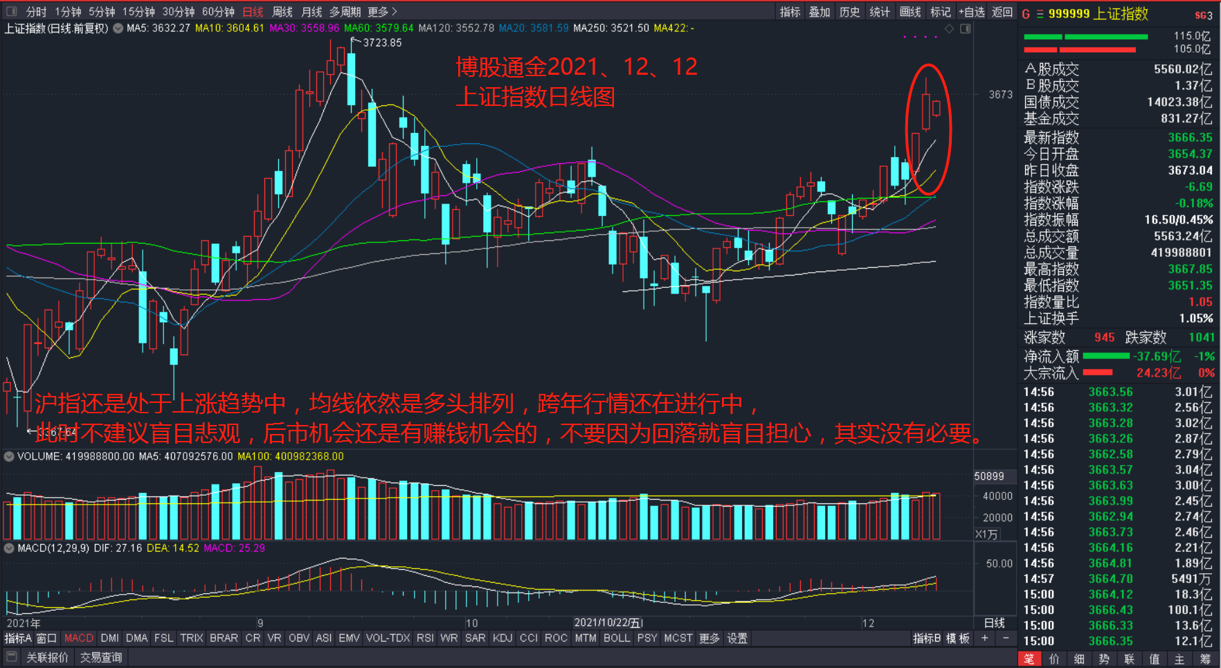 闪亮一生是否专业有效_卡介苗是否终生有效_股票市场是否有效