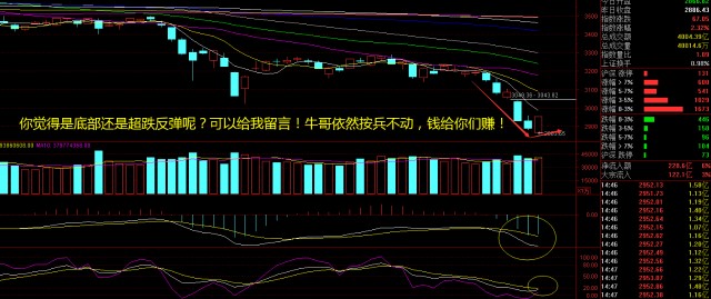 有概念股票_军工概念股票有哪些股票_特拉斯概念有哪些股票