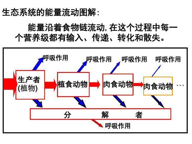 海亮地产资金断裂_珩生集团资金断裂_资金链断裂是什么意思