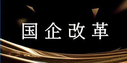 一份纲领性文件低调流出预计配套具体的改革细化落实文件