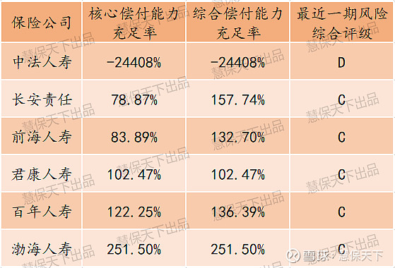 中国保险公司偿付能力