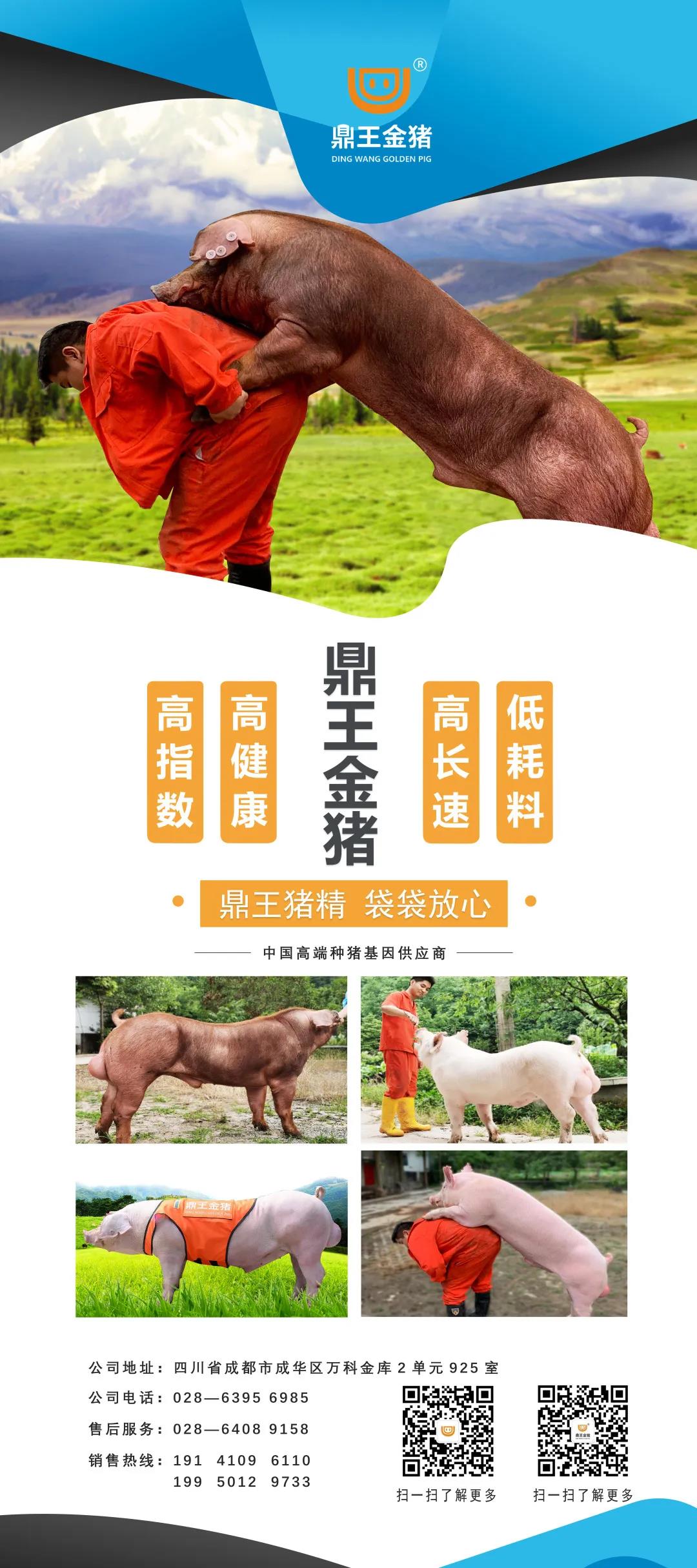 YuE中国饲料行业-立足饲料，服务畜牧工业企业如何做好营销模式互动化