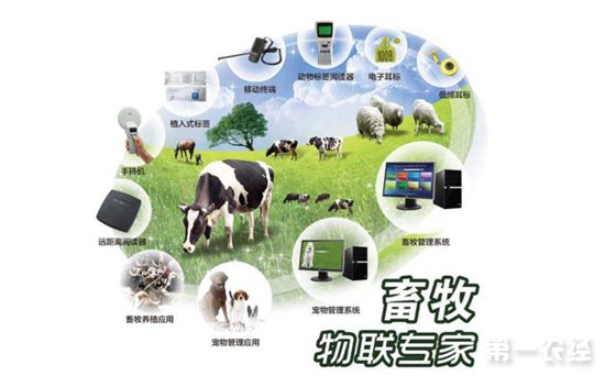 中国饲料行业信息网4.0