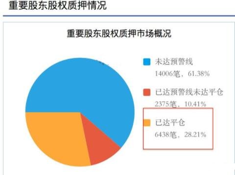 大股东质押比例多少是合理_公司股东比例合理_股东质押股票