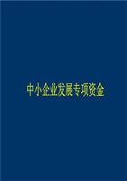 小企业资金管理_企业资金管理存在问题_企业资金管理支付制度