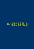 小企业资金管理_企业资金管理存在问题_企业资金管理支付制度