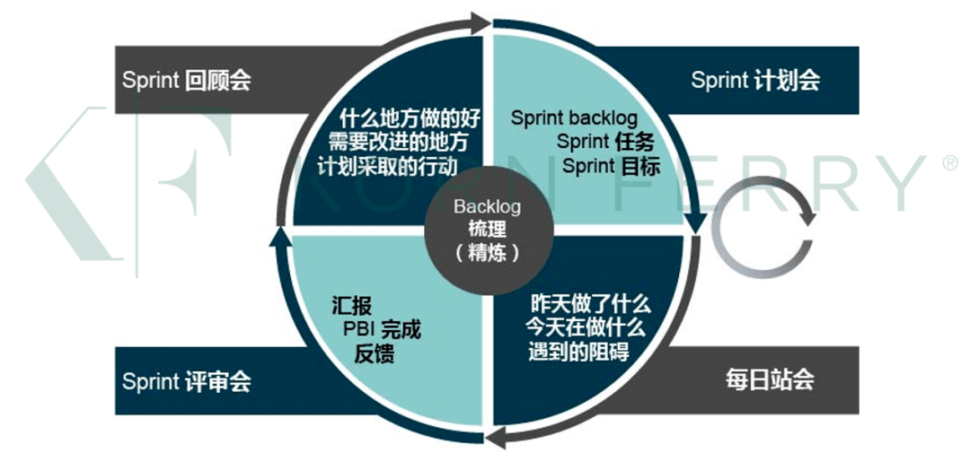 管理风险有哪些内容_项目风险管理五个内容_项目履约管理内容