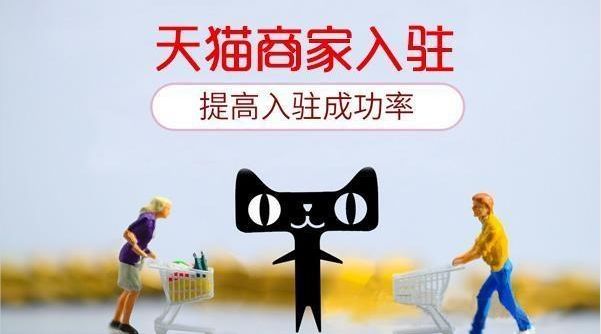 天猫入驻多年渠道入驻服务商，你将少走很多弯路