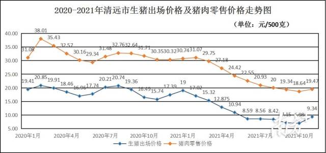 生猪价格多少钱一斤今年今日猪价格最新行情及走势如何