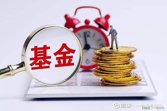 中国基金网每日净值表_每日基金净值查基金