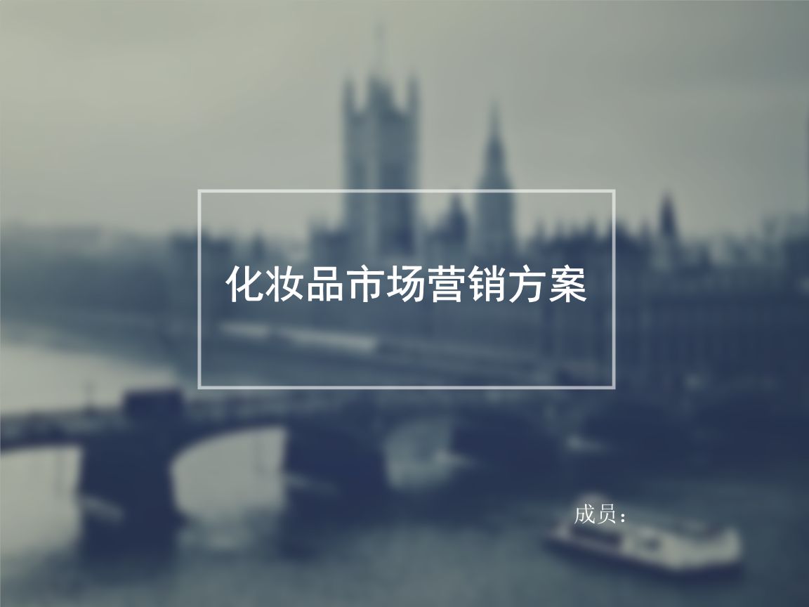 韩国爱化妆品集团为例营销策略研究报告(一)——本文