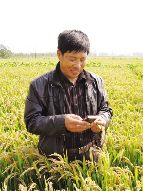 适合中国国情的农业产业化发展道路有哪些？(图)