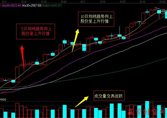 看股票看除权还是复权_大学专业书籍要慢慢看_股票要怎么看