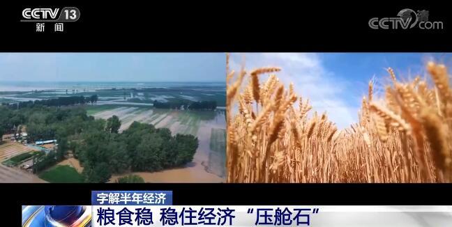 稳粮食稳住经济“压舱石”稳住粮食安全底线才能稳住中国经济发展的大盘